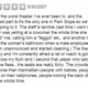 Illustration for article titled Fresh Vomit on the Seats: Very Grim Yelp Reviews of Movie Theaters